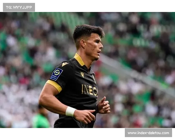 尼斯遭遇严重伤病潮，七名球员伤停包括四名后卫